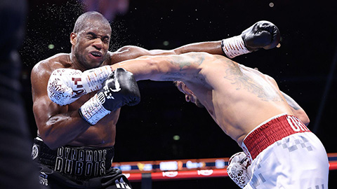  Đại chiến boxing đỉnh cao: Quyền vương Oleksandr Usyk đấm gục Daniel Dubois, giữ 4 đai hạng nặng