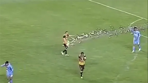  Khoảnh khắc kinh hoàng khi cầu thủ bị pháo sáng bắn trúng vùng kín