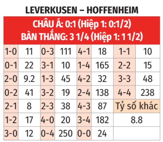Leverkusen vs Hoffenheim