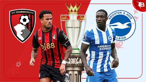  Nhận định bóng đá Bournemouth vs Brighton, 21h00 ngày 13/9: Tin vào chim mòng biển