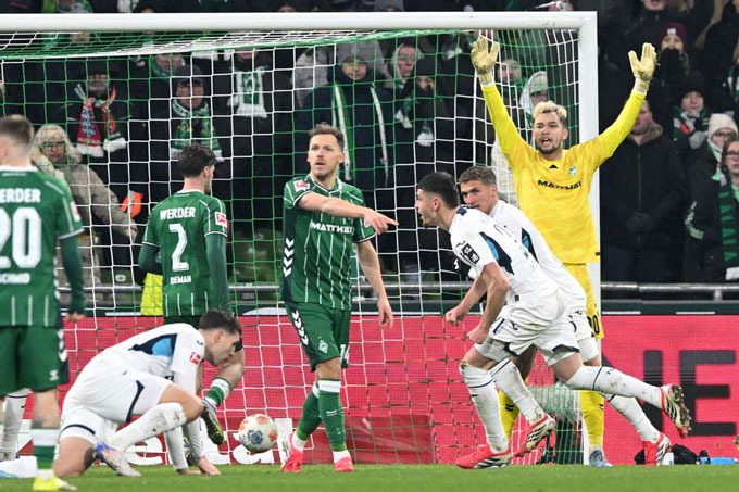 Niềm vui thắng lợi của Hoffenheim