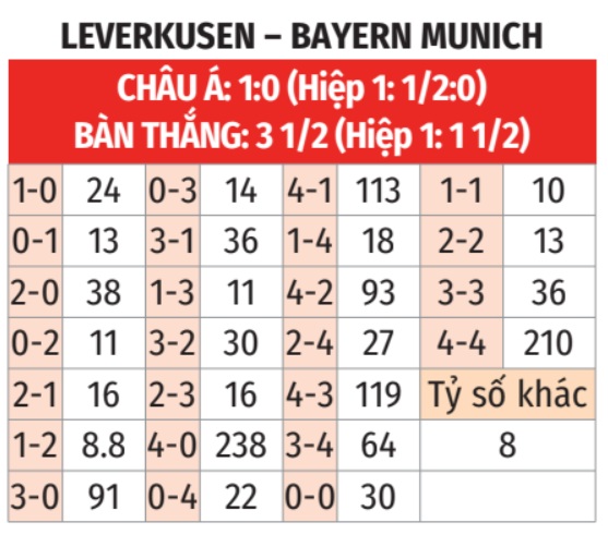 Leverkusen vs Bayern