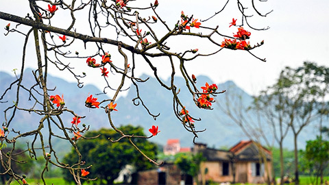  Dự báo thời tiết hôm nay 19/3: Nắng ấm miền Bắc, Miền Nam tăng nhiệt mạnh