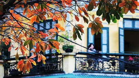  Dự báo thời tiết hôm nay 26/3: Bắc Bộ sáng sương mù, trưa hửng nắng