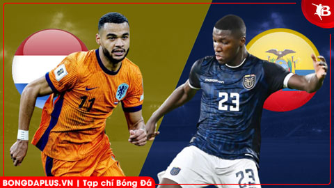  Nhận định bóng đá Hà Lan vs Ecuador, 01h45 ngày 1/4: 'Lốc Cam' khó nổi