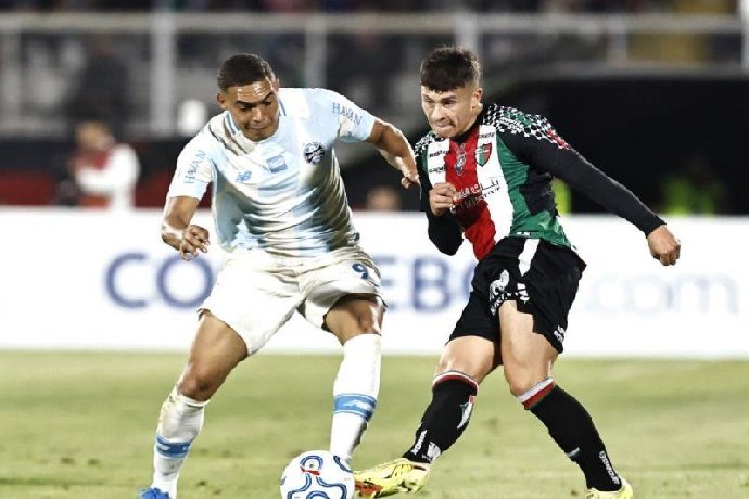 Nhận định Gremio vs Palestino 07h00 ngày 21/05: Tin vào cửa trên