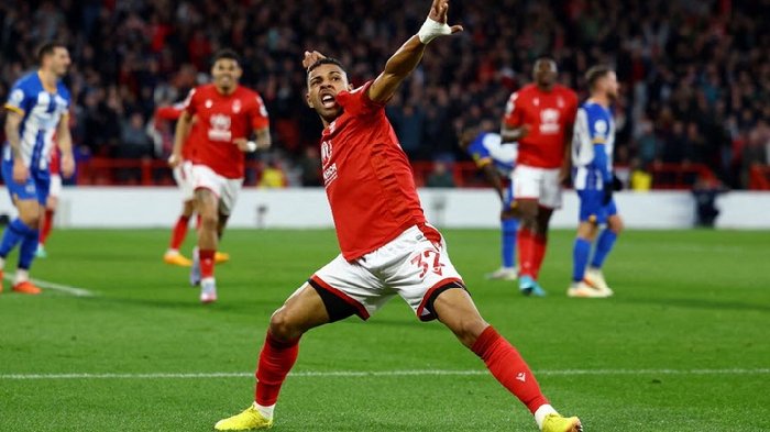  Nhận định Nottingham vs Brighton, 21h05 ngày 30/11: Tiếp đà hưng phấn