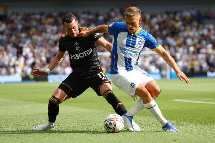  Nhận định Brighton vs Leeds United, 22h ngày 01/11: Thắng lợi tối thiểu