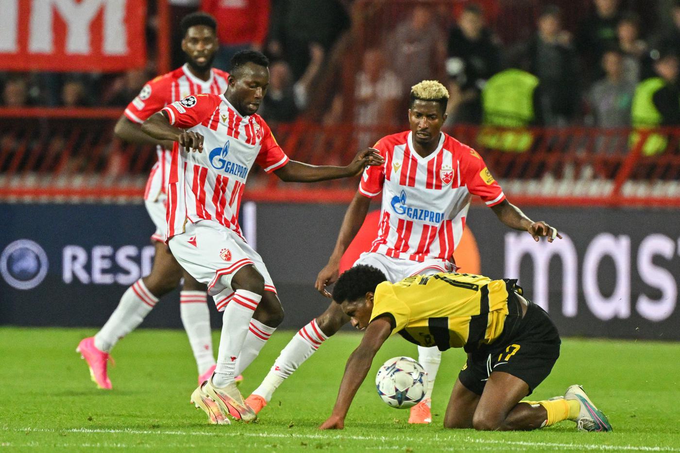 Nhận định, Soi kèo Crvena Zvezda vs Pafos, 1h45 ngày 20/08: Thị uy sức mạnh - Ảnh 1