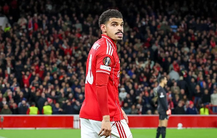  Nhật định phạt góc Nottingham vs Malmo, 3h ngày 28/11