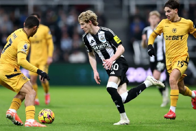  Nhận định Wolves vs Newcastle, 21h00 ngày 18/1: Hạ gục bầy sói
