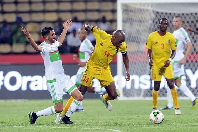  Nhận định Algeria vs Zimbabwe, 23h30 ngày 13/11: Khó thắng đậm