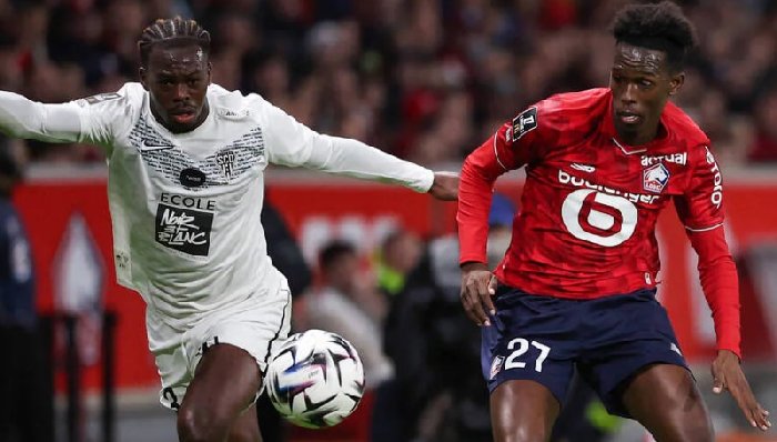  Nhận định Angers vs Lille 20h00 ngày 23/08: Nhắc lại chuyện xưa