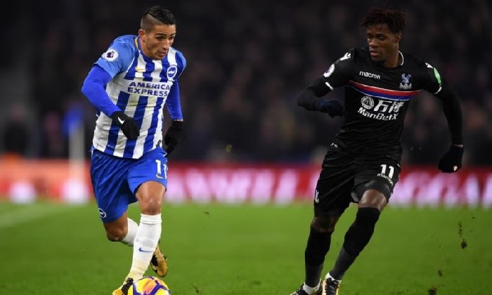  Nhận định Brighton vs Crystal Palace 20h00 ngày 18/10: Chim Mòng Biển bay cao
