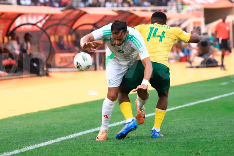 Nhận định Somalia vs Algeria 23h00 ngày 09/10: Khách thắng nhẹ nhàng - Ảnh 1