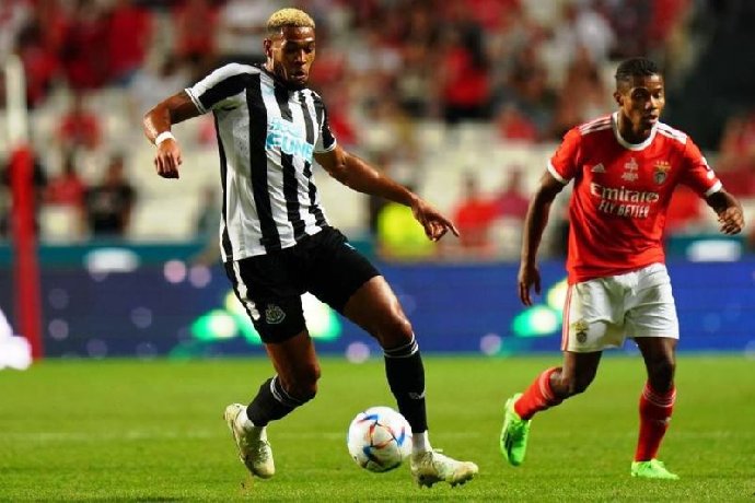  Nhận định Newcastle vs Benfica 02h00 ngày 22/10: Điểm tựa sân nhà