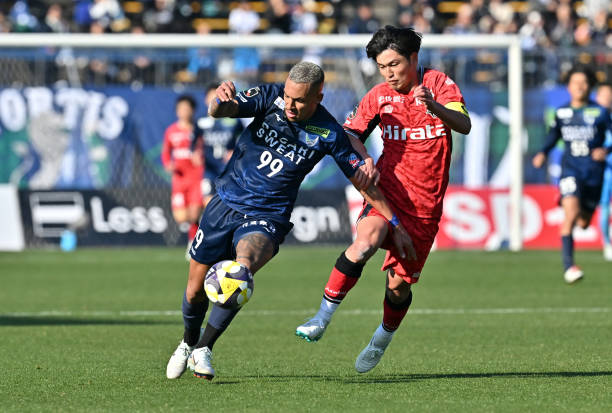 Nhận định Roasso Kumamoto vs Tokushima Vortis 17h00 ngày 15/9: Thắng sát nút - Ảnh 4