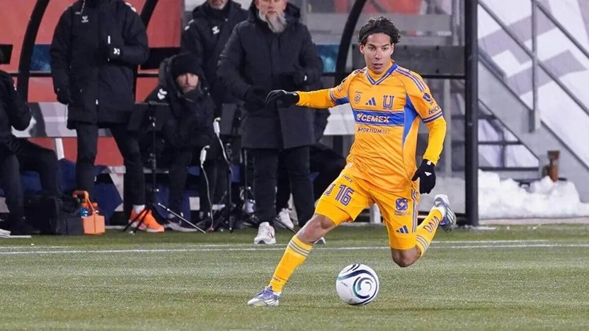 Nhận định Tigres UANL vs Pachuca 8h ngày 21/2: Run sợ trước Bầy hổ - Ảnh 4