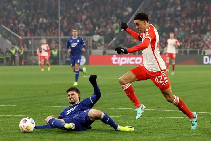  Nhận định Bayern Munich vs Hoffenheim 23h30 ngày 08/02: Tin vào cửa dưới