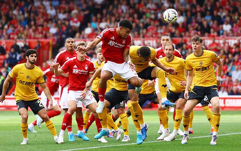 Nhận định Nottingham vs Wolves 2h30 ngày 12/2: Nỗ lực trong vô vọng - Ảnh 1