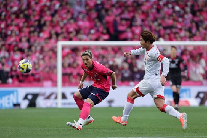 Nhận định Nagoya Grampus vs Cerezo Osaka 11h30 ngày 4/10: Nỗ lực trụ hạng
