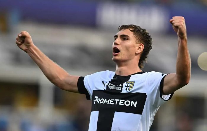  Nhận định Parma vs Catania 23h00 ngày 14/8: Khai mạc khó tưng bừng