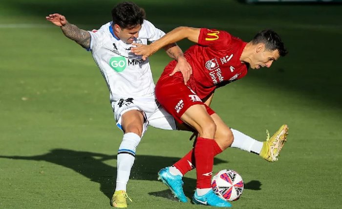  Nhận định Auckland vs Adelaide United 11h00 ngày 1/11: 3 điểm ở lại