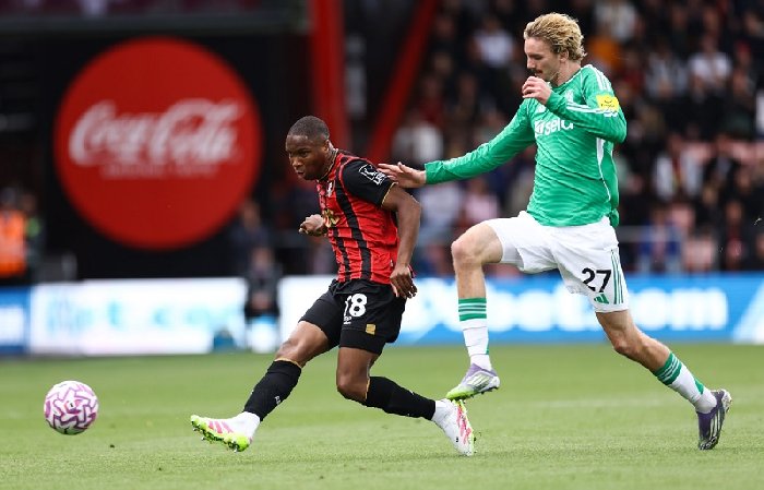  Nhận định Newcastle vs Bournemouth 22h00 ngày 10/1: Cất cao tiếng hót