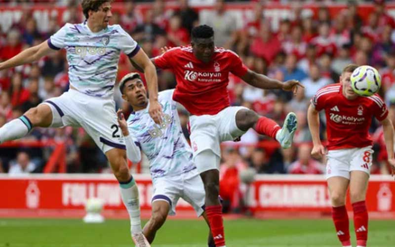 Nhận định Bournemouth vs Nottingham 21h00 ngày 26/10: Chuyến làm khách khó khăn - Ảnh 1