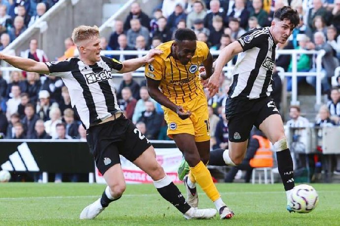  Nhận định Brighton vs Newcastle 21h00 ngày 18/10: Điểm tựa sân nhà