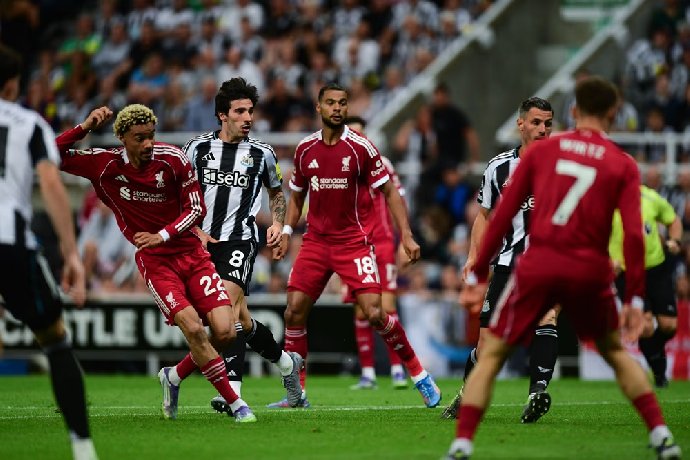  Nhận định Liverpool vs Newcastle 3h ngày 1/2: Mở tiệc ở Anfield