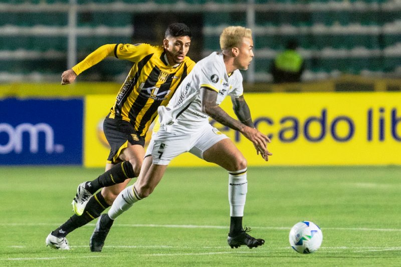 Nhận định Deportivo Tachira vs The Strongest 07h30 ngày 11/02: Khách không thua - Ảnh 1