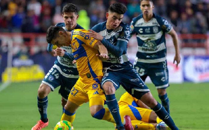  Nhận định Pachuca vs Tigres UANL 8h00 ngày 23/10: Mang điểm về nhà
