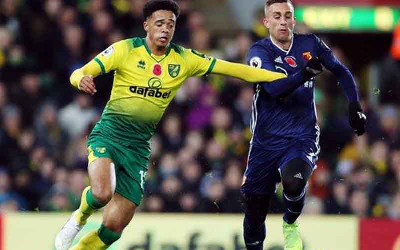 Nhận định Norwich City vs Watford 2h45 ngày 30/12: Nỗi buồn Chim Hoàng Yến - Ảnh 1