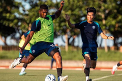 Hai đối thủ của ĐT Việt Nam chọn ‘quân xanh’ Nhật Bản để chạy đà cho AFF Cup 2026