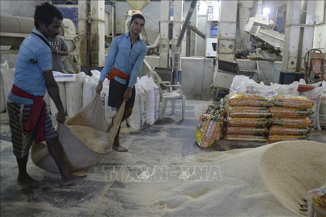  Ấn Độ gạo tồn kho cao kỷ lục