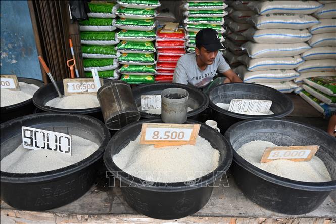  Thị trường nông sản: Chính sách tăng thuế VAT sẽ ảnh hưởng tới giá gạo ở Indonesia