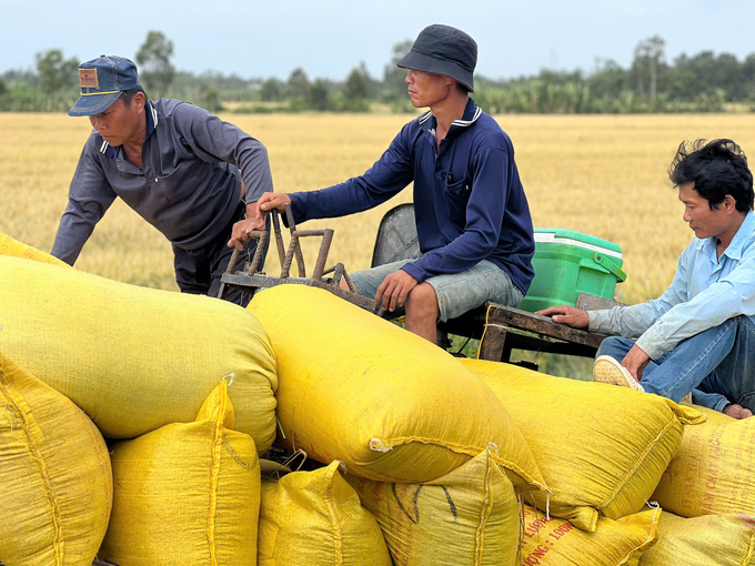8bc158e5849b35c56c8a-162747_950.jpg Nông dân huyện Phước Long thu hoạch vụ lúa đông xuân. Ảnh: Trọng Linh.