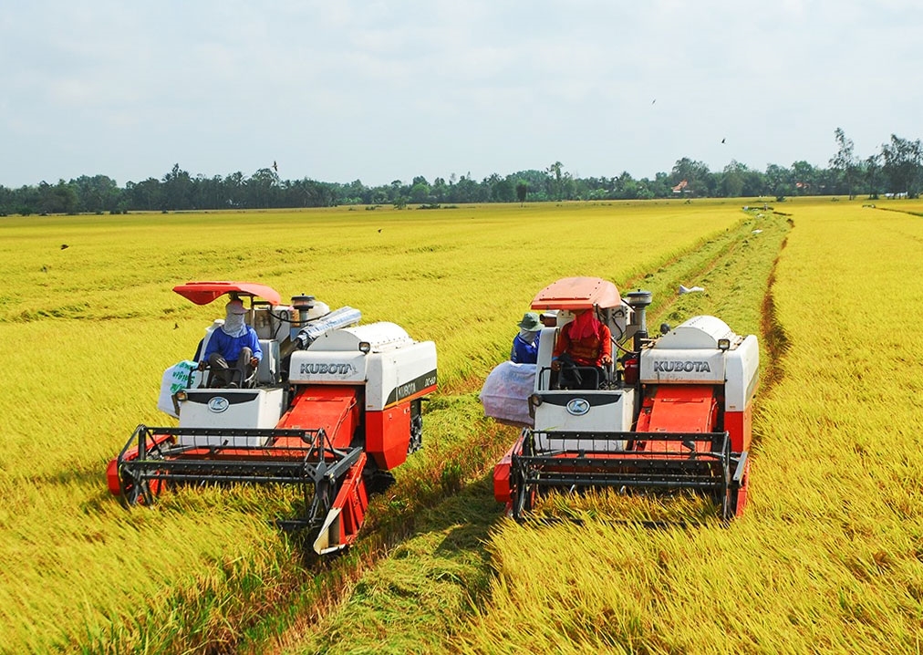  Xuất khẩu gạo tăng, nhưng giá giảm
