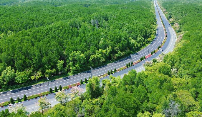  TP.HCM chuẩn bị “mở toang cửa biển”: Siêu trục Rừng Sác - cầu Cần Giờ - đường vượt biển lộ diện