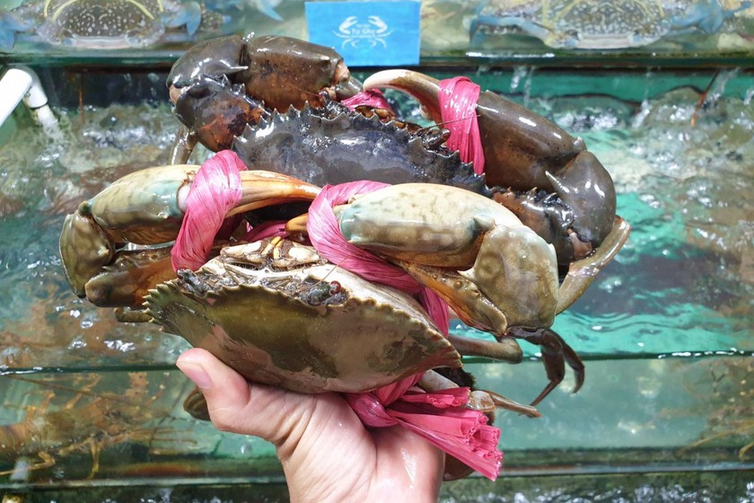  Xuất khẩu cua sang Trung Quốc tăng 12 lần