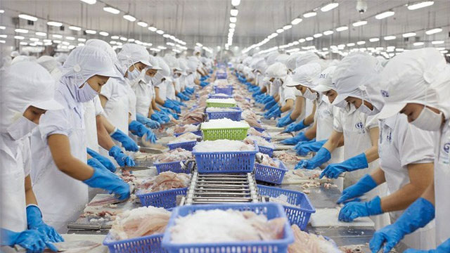  Xuất khẩu thuỷ sản 7 tháng đầu năm tăng trưởng tích cực