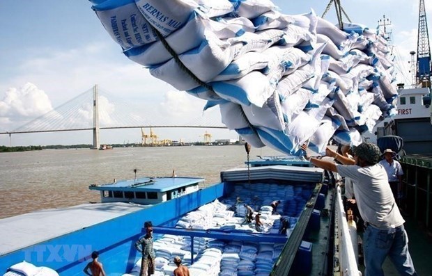  Năm 2025 Việt Nam xuất khẩu trên 8 triệu tấn gạo